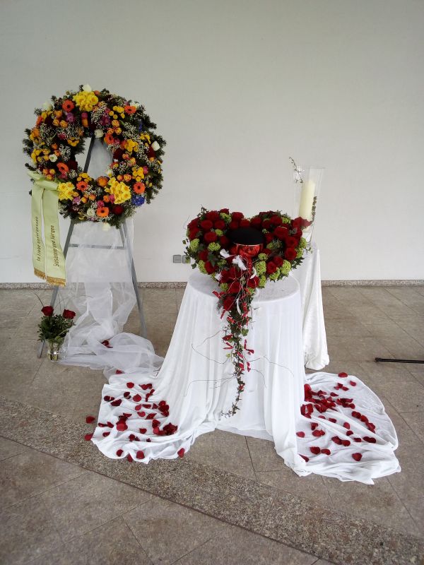 Pflanzenparadies Murrhardt - Erika Brand